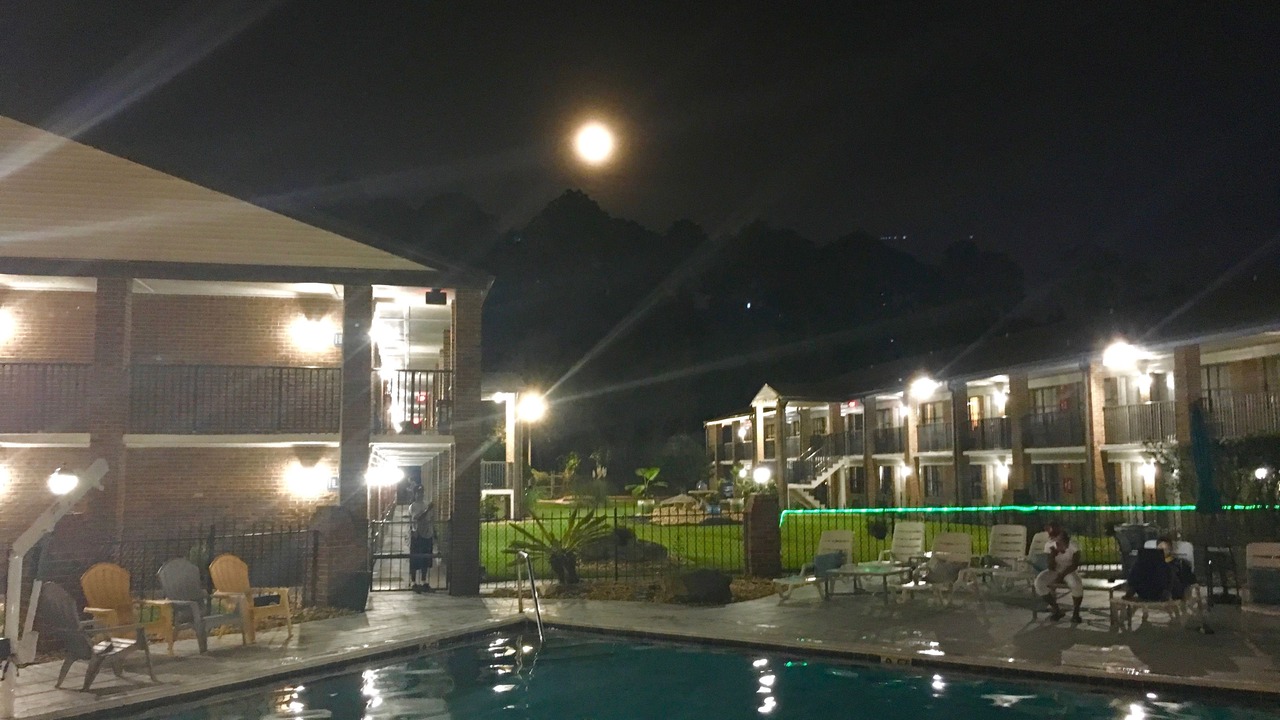 Photo of Outdoor in Brent