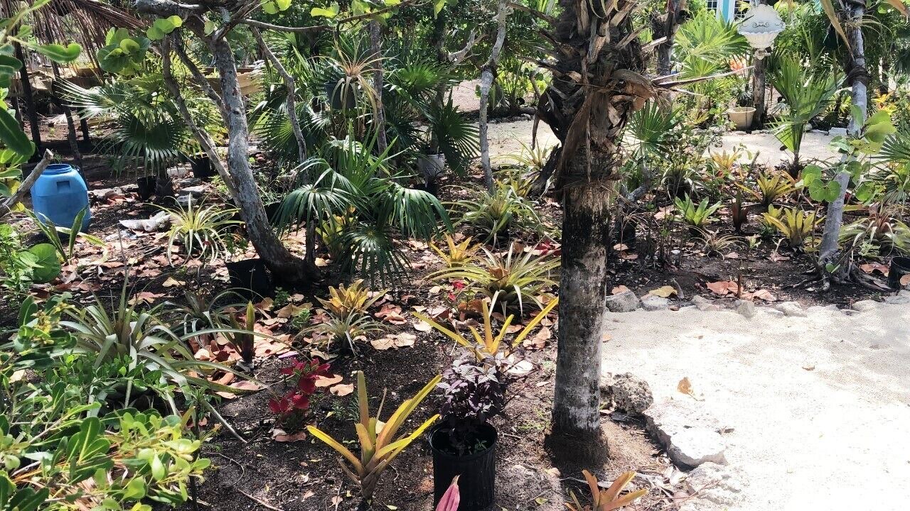 Photo of Outdoor in Old Bight