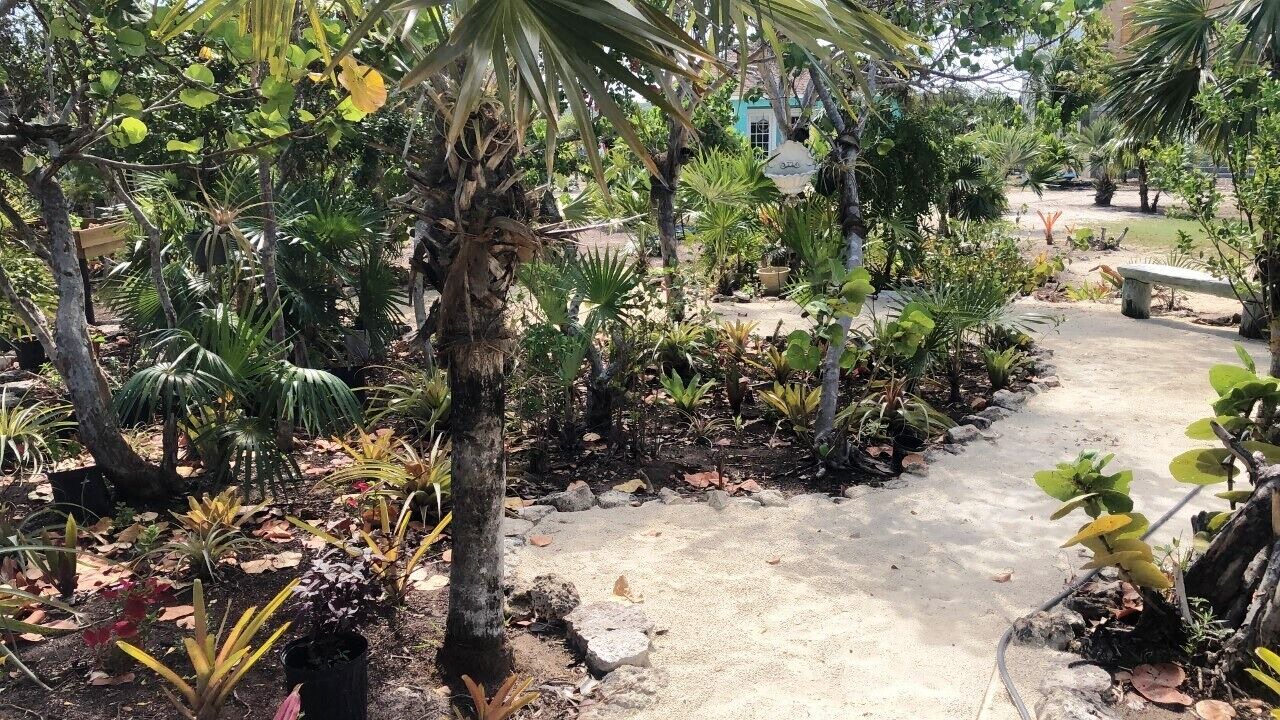 Photo of Outdoor in Old Bight