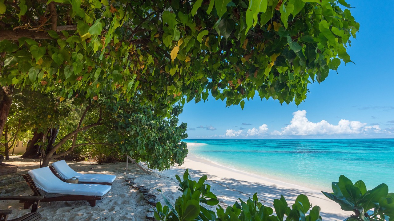 Photo of Others in Denis Island