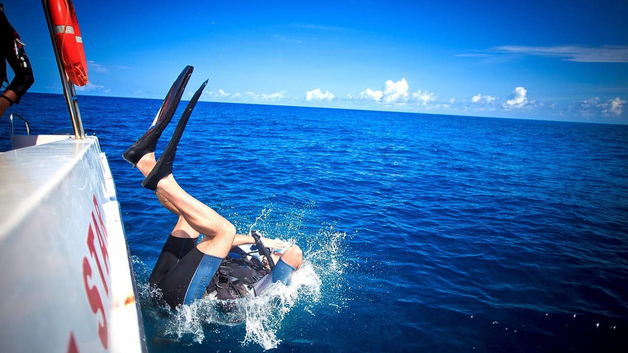 Photo of Others in Denis Island