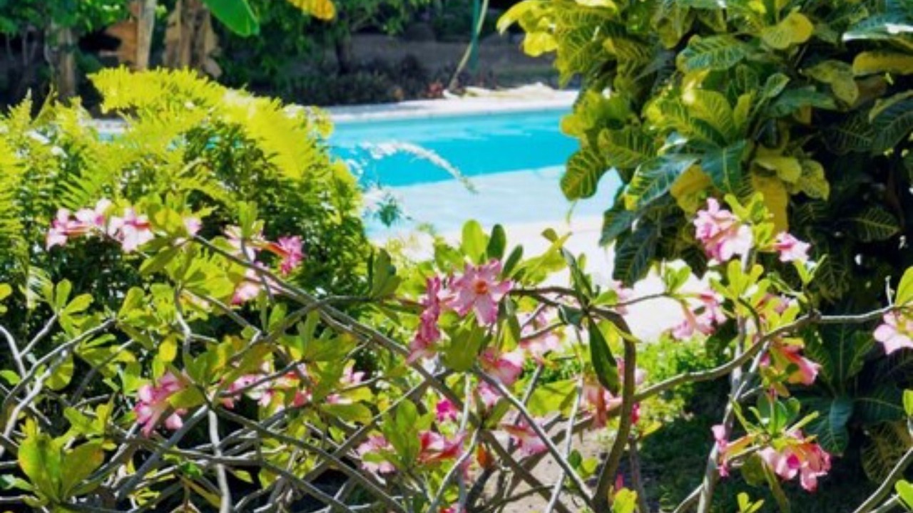 Photo of Outdoor in Punaauia