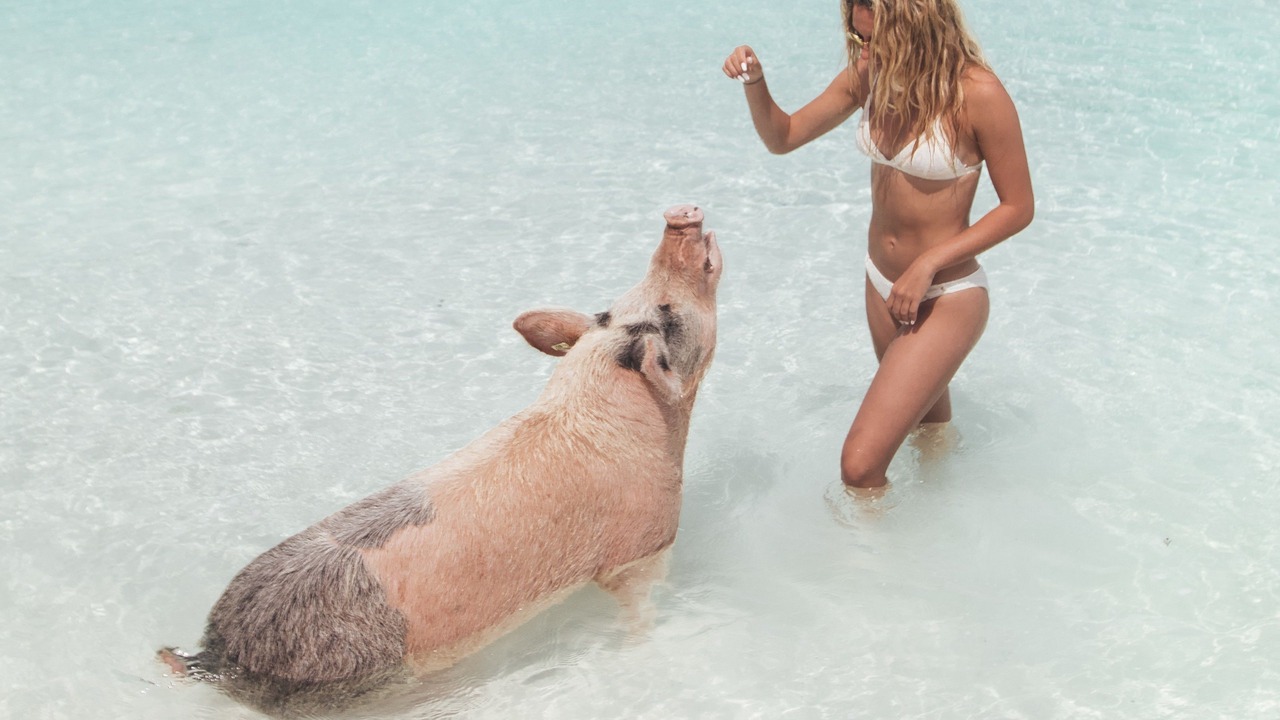 Photo of Others in Staniel Cay