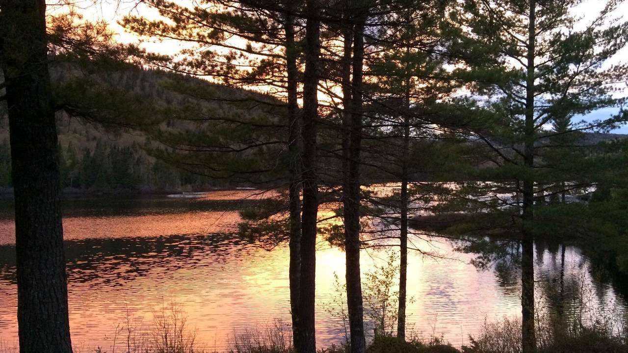 Photo of Outdoor in Tadoussac