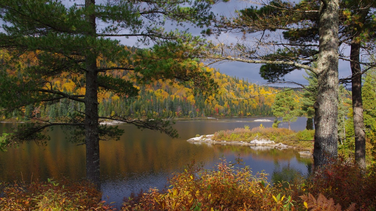 Photo of Others in Tadoussac