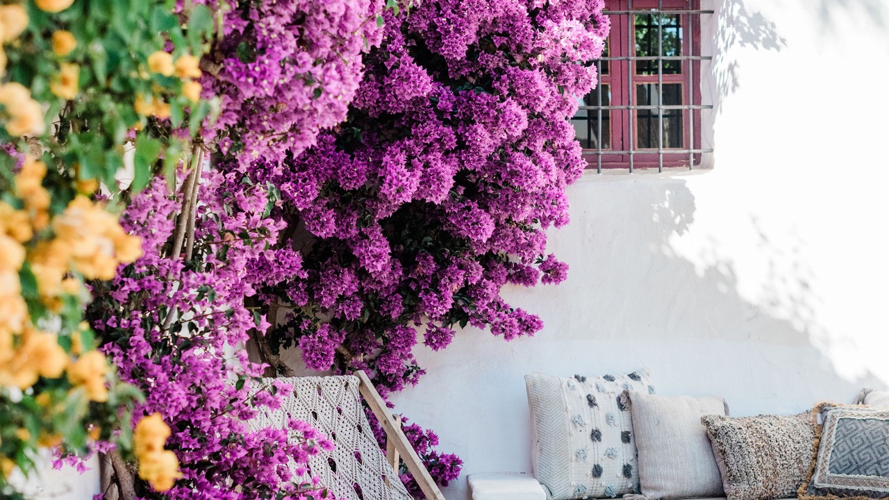 Photo of Patio Balcony in Sant Rafael de Sa Creu