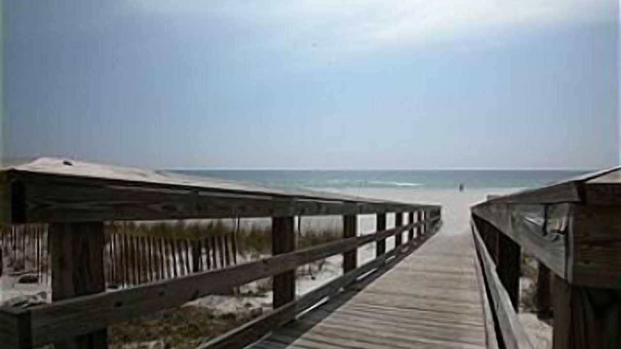 Photo of Others in Orange Beach