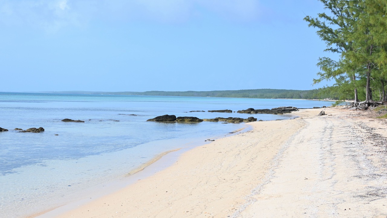 Photo of Others in Tarpum Bay