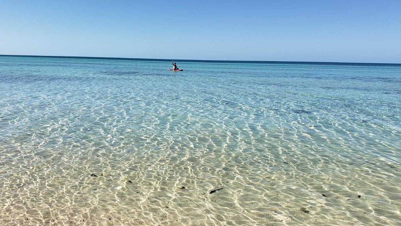 Photo of Others in Tarpum Bay