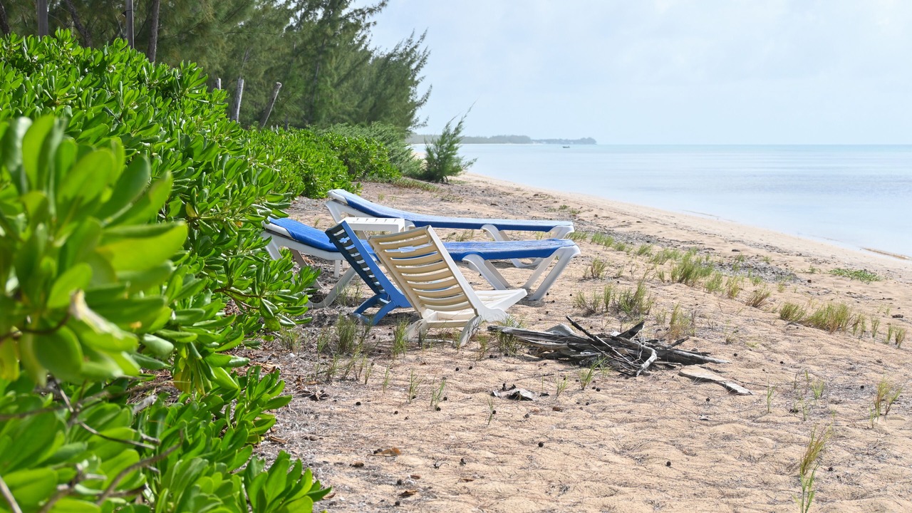 Photo of Others in Tarpum Bay