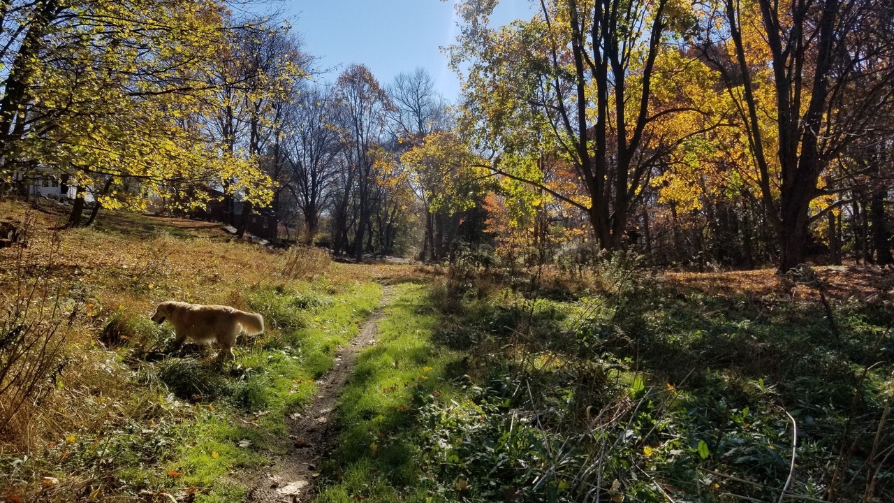 Photo of Others in Pound Ridge