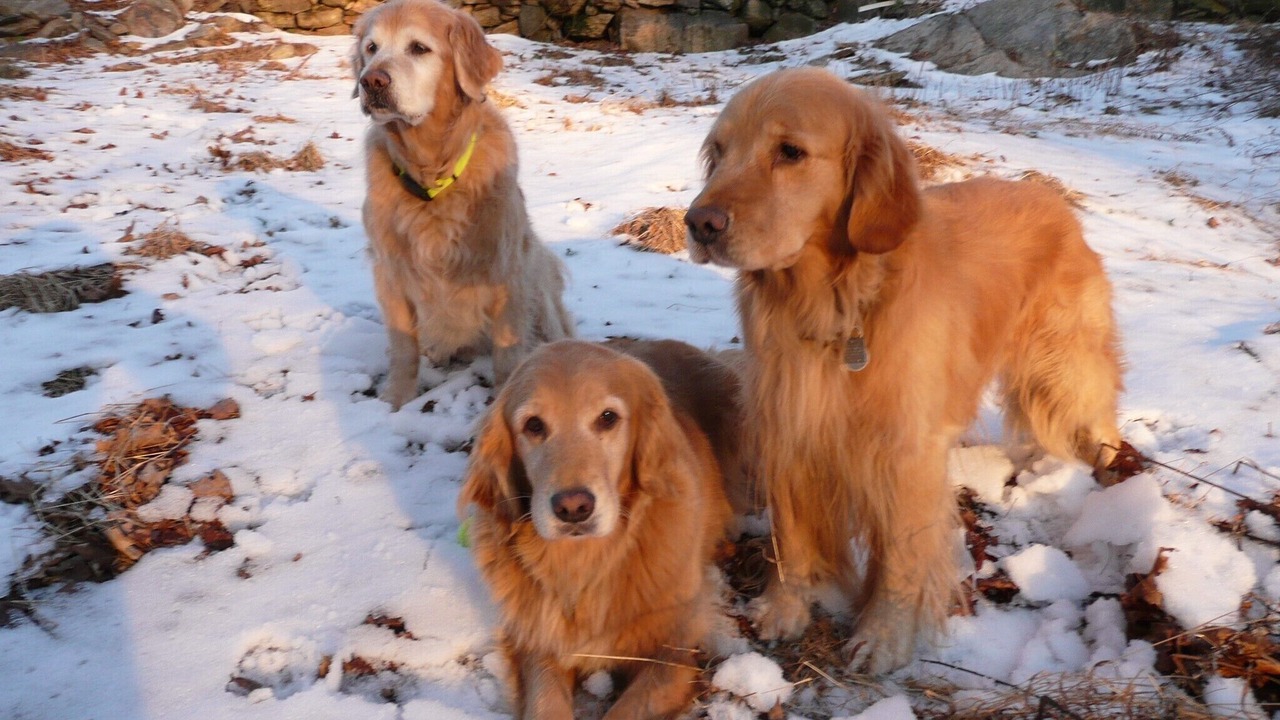 Photo of Others in Pound Ridge
