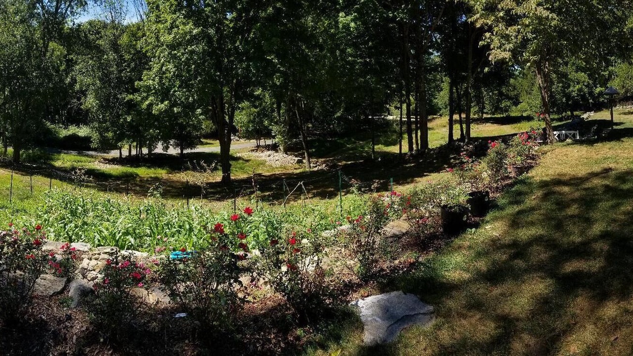 Photo of Outdoor in Pound Ridge