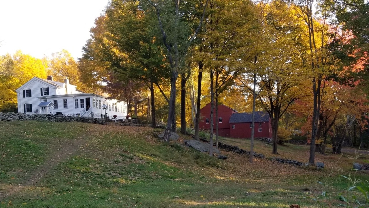 Photo of Others in Pound Ridge