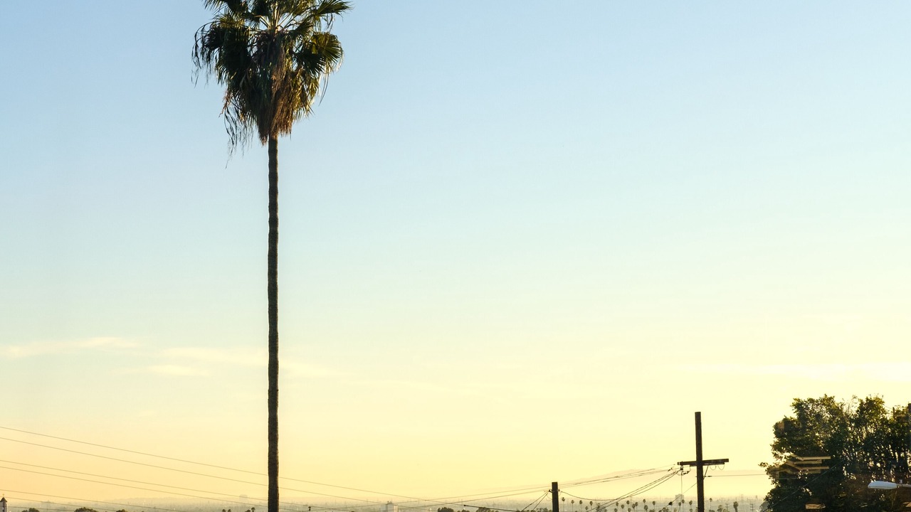 Photo of Others in Los Angeles