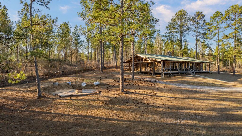 Photo of Others in Pine Level