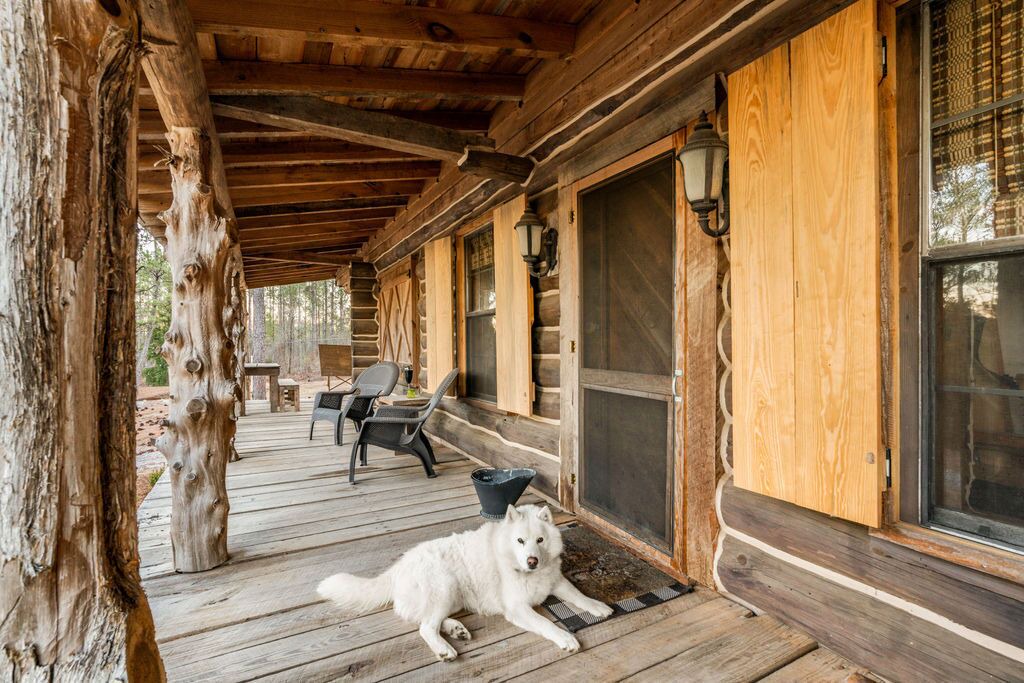 Photo of Others in Pine Level