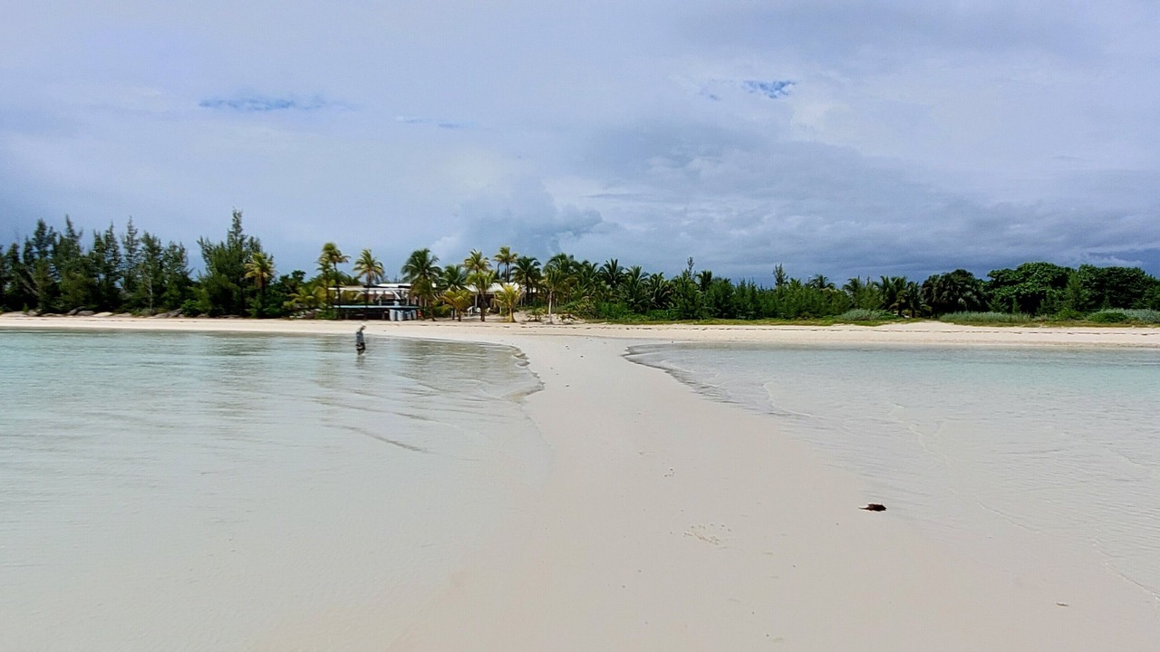 Photo of Others in Bahamas Terrace