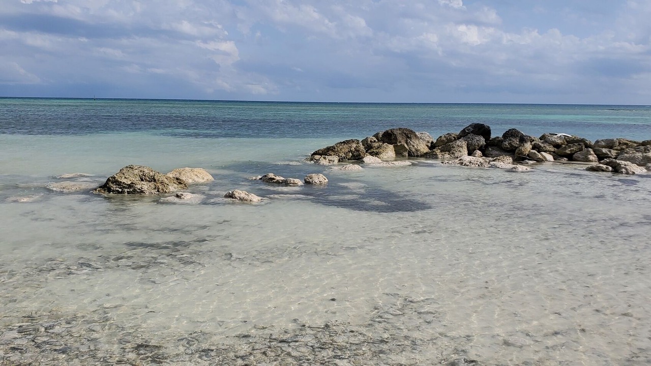 Photo of Others in Bahamas Terrace
