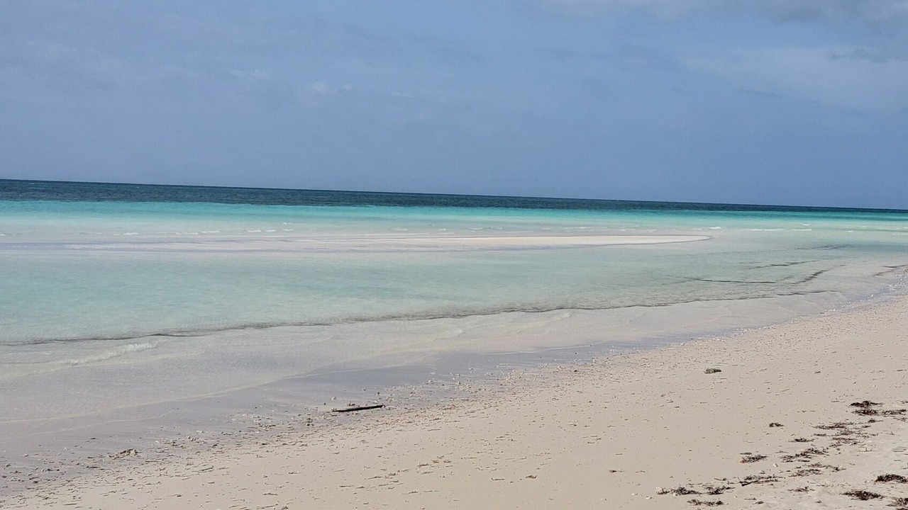 Photo of Others in Bahamas Terrace
