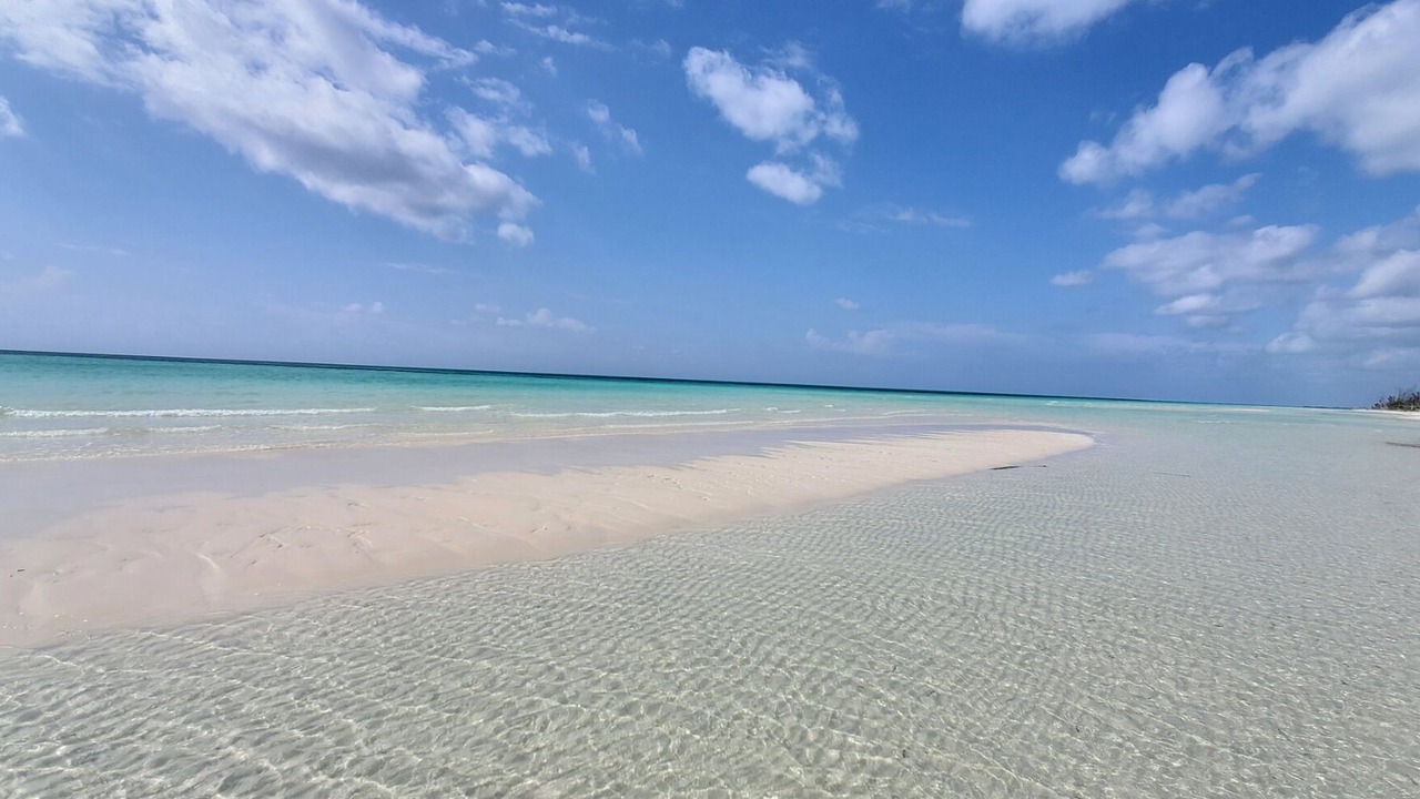 Photo of Others in Bahamas Terrace