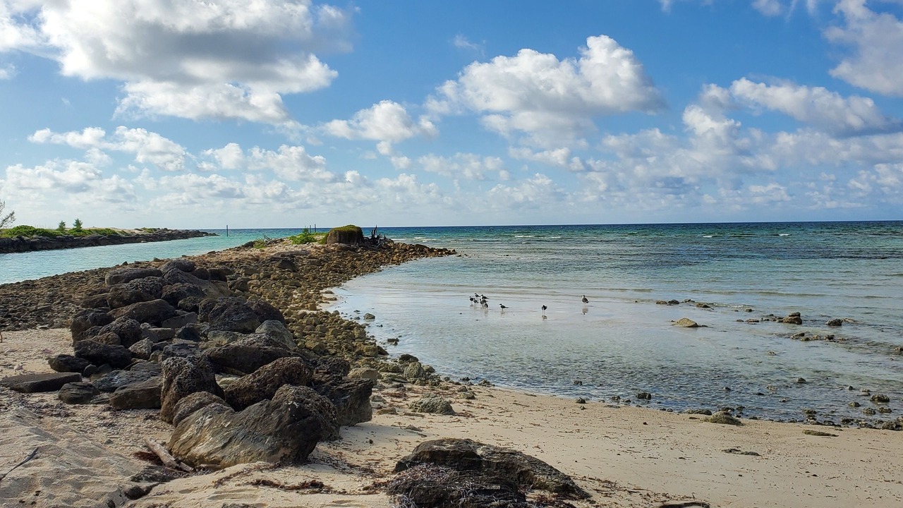 Photo of Others in Bahamas Terrace