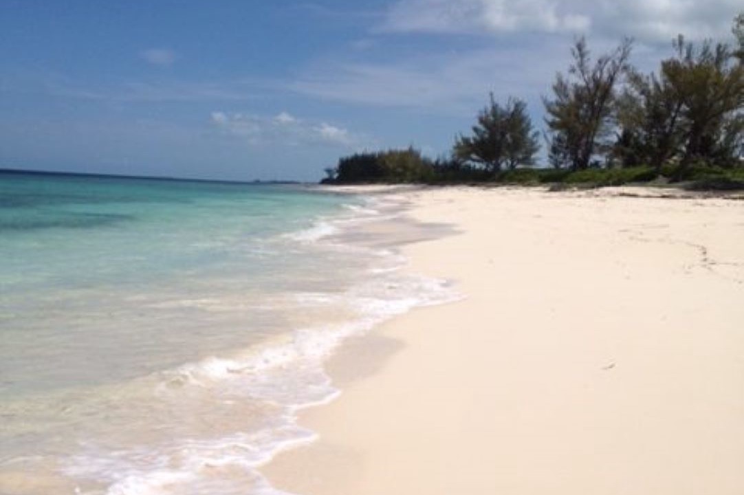 Photo of Others in Green Turtle Cay