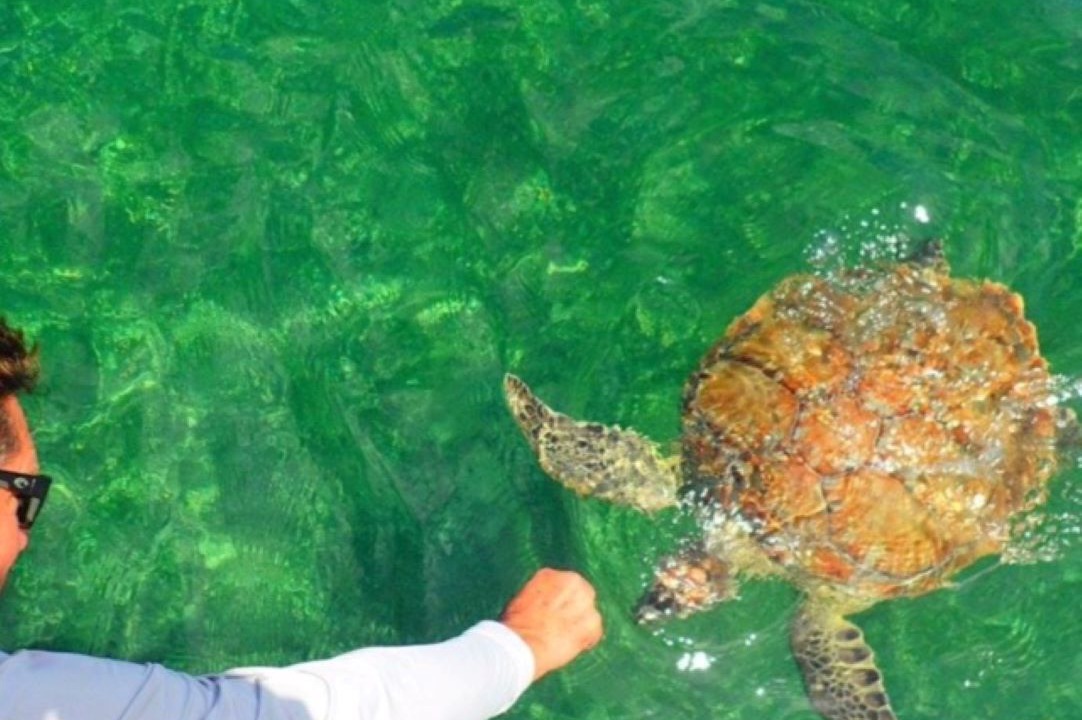 Photo of Others in Green Turtle Cay