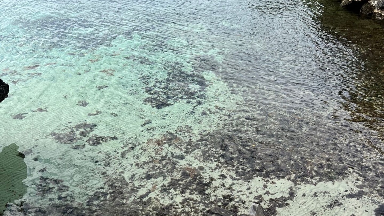 Photo of Others in Great Guana Cay