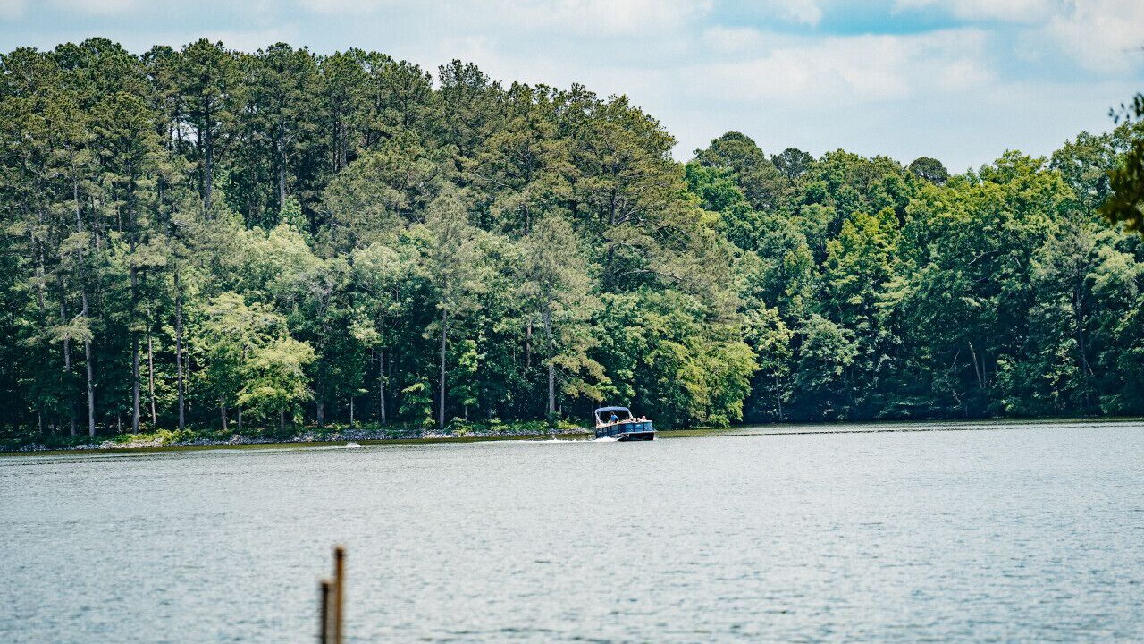 Photo of Others in Cedar Bluff