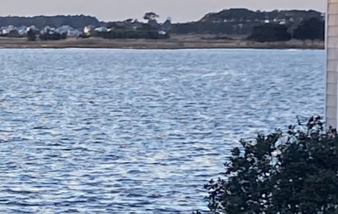 Photo of Others in Fenwick Island