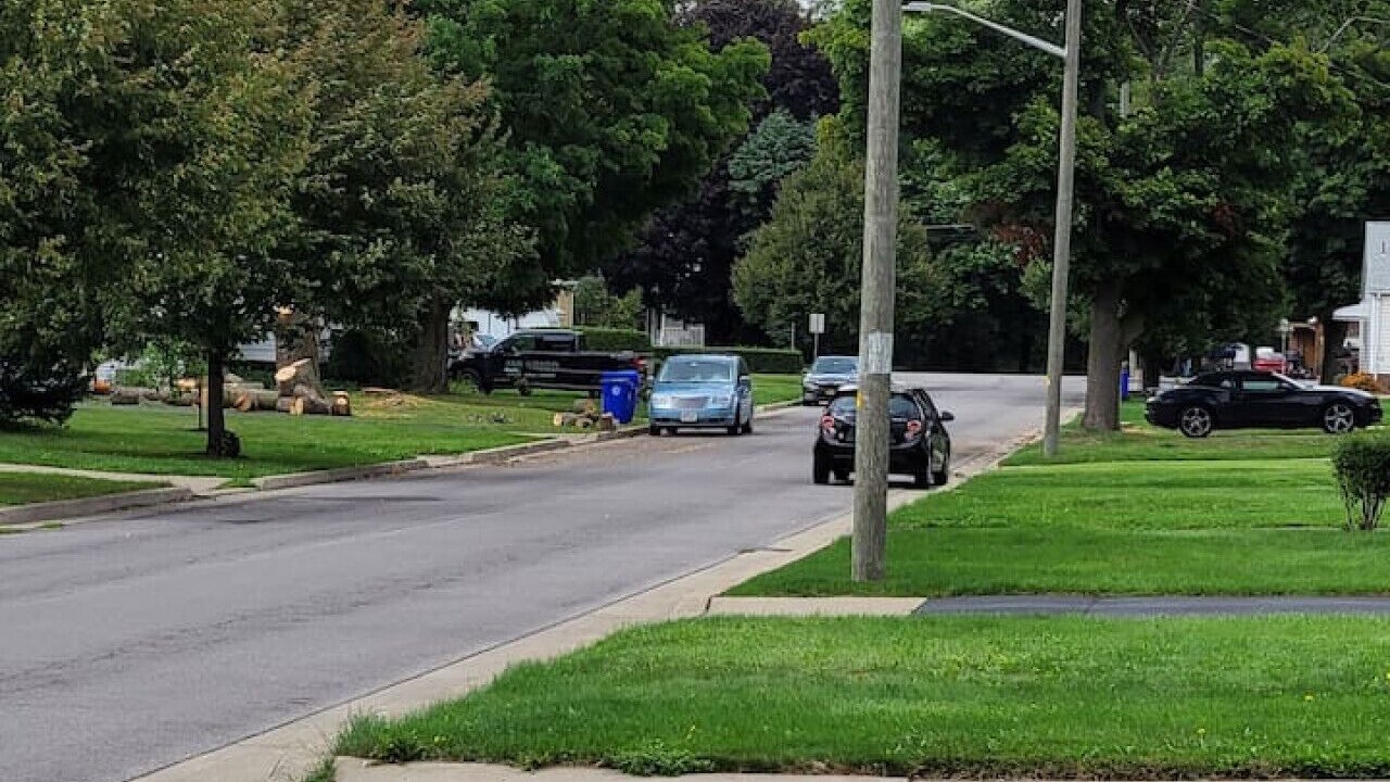 Photo of Others in West Seneca