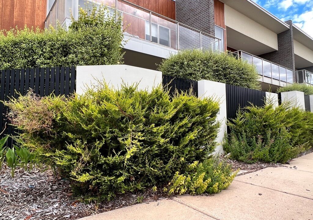 Photo of Outdoor in Weston