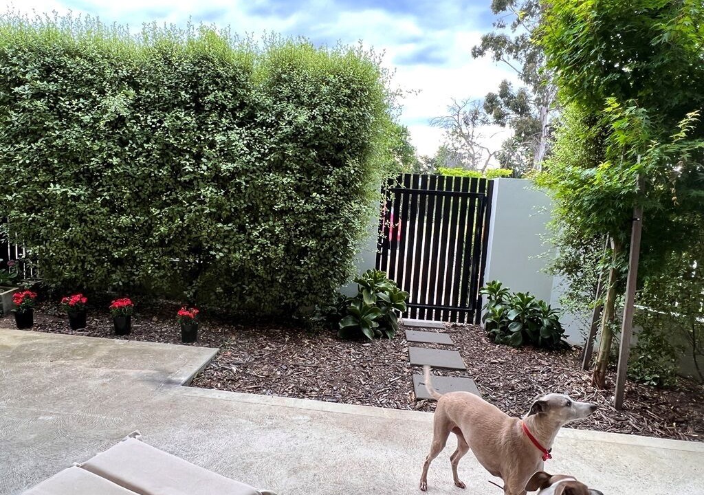 Photo of Outdoor in Weston