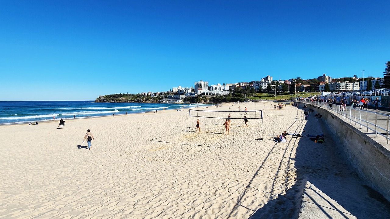 Photo of Others in Bondi