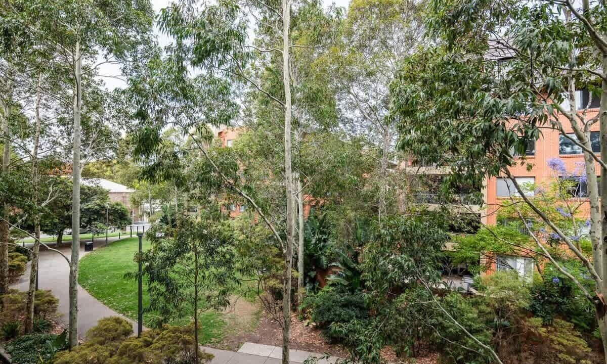 Photo of Outdoor in Erskineville