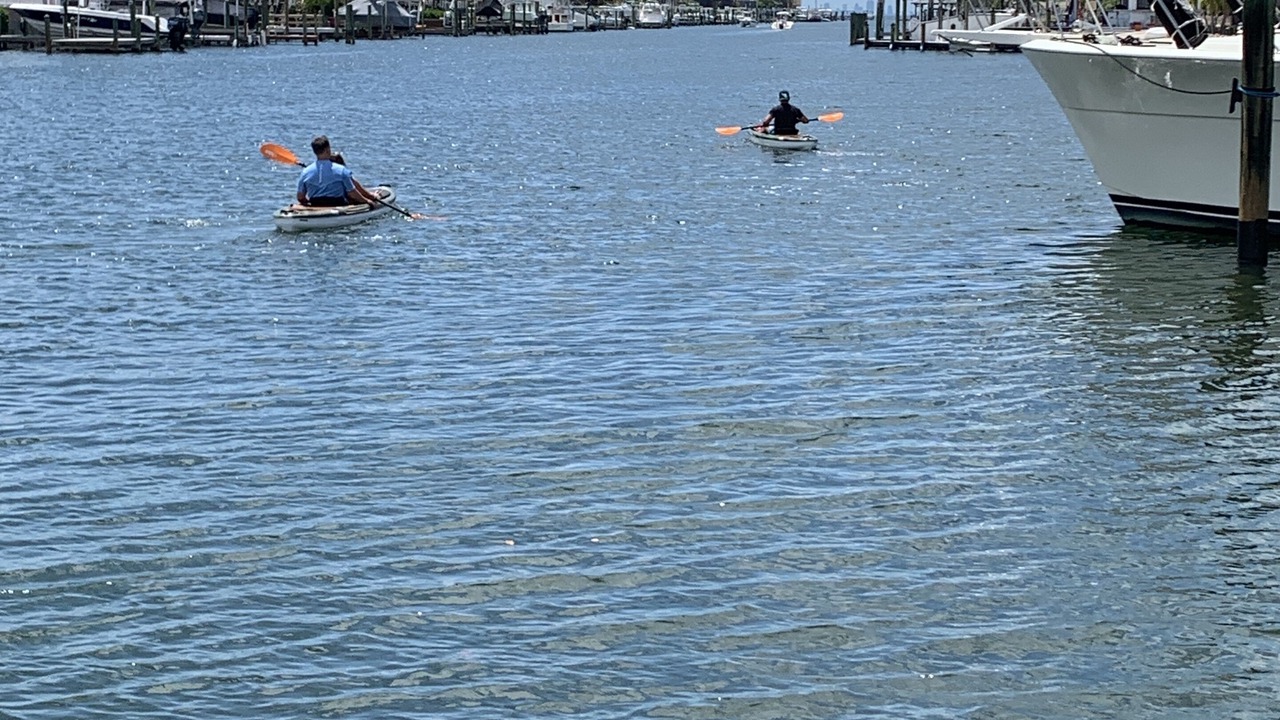 Photo of Others in Bal Harbour