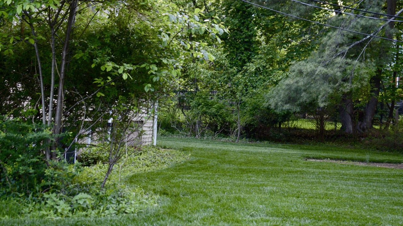 Photo of Outdoor in Upper Montclair