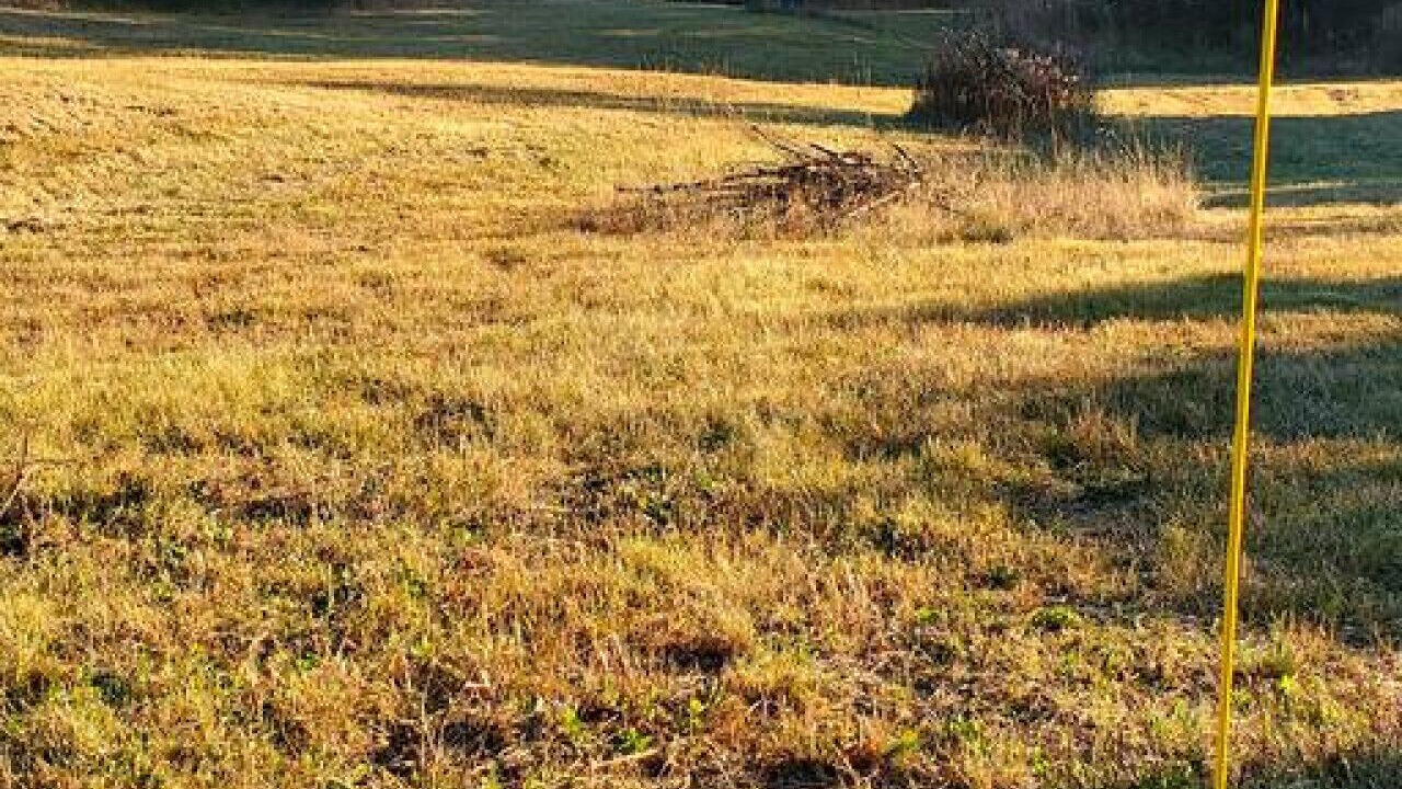 Photo of Outdoor in Saint-Tite-des-Caps