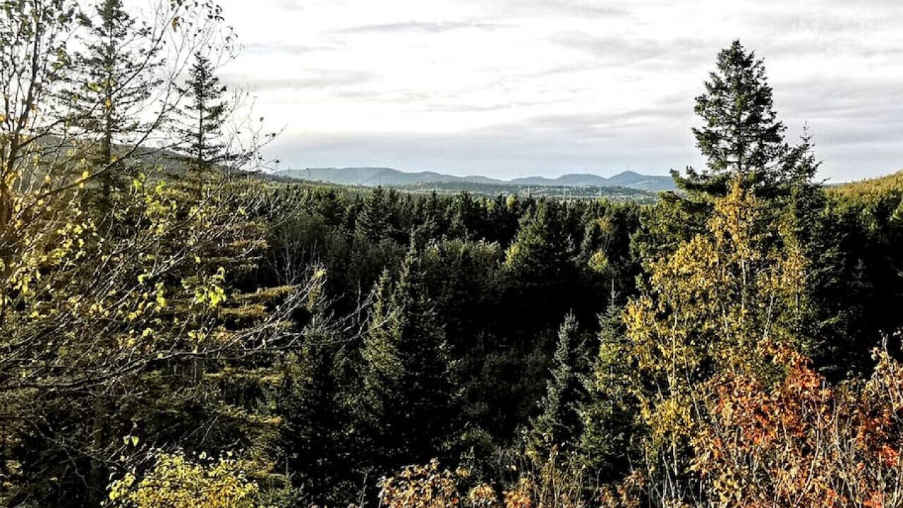 Photo of Outdoor in Saint-Tite-des-Caps