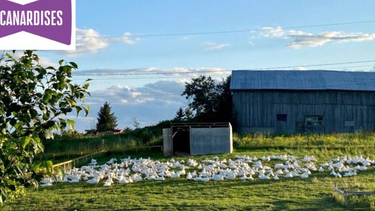 Photo of Outdoor in Saint-Tite-des-Caps