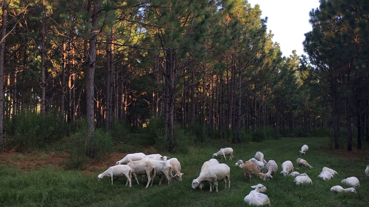 Photo of Outdoor in Marion
