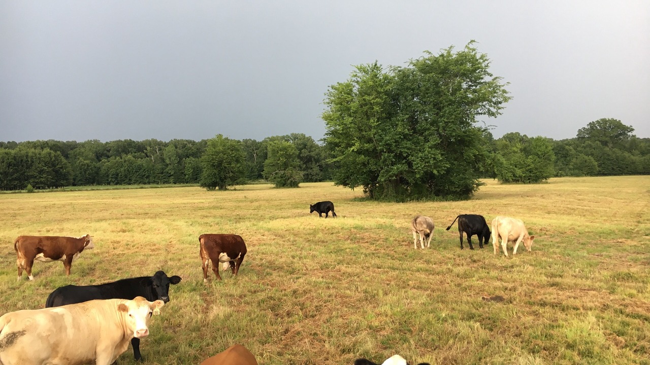 Photo of Others in Marion