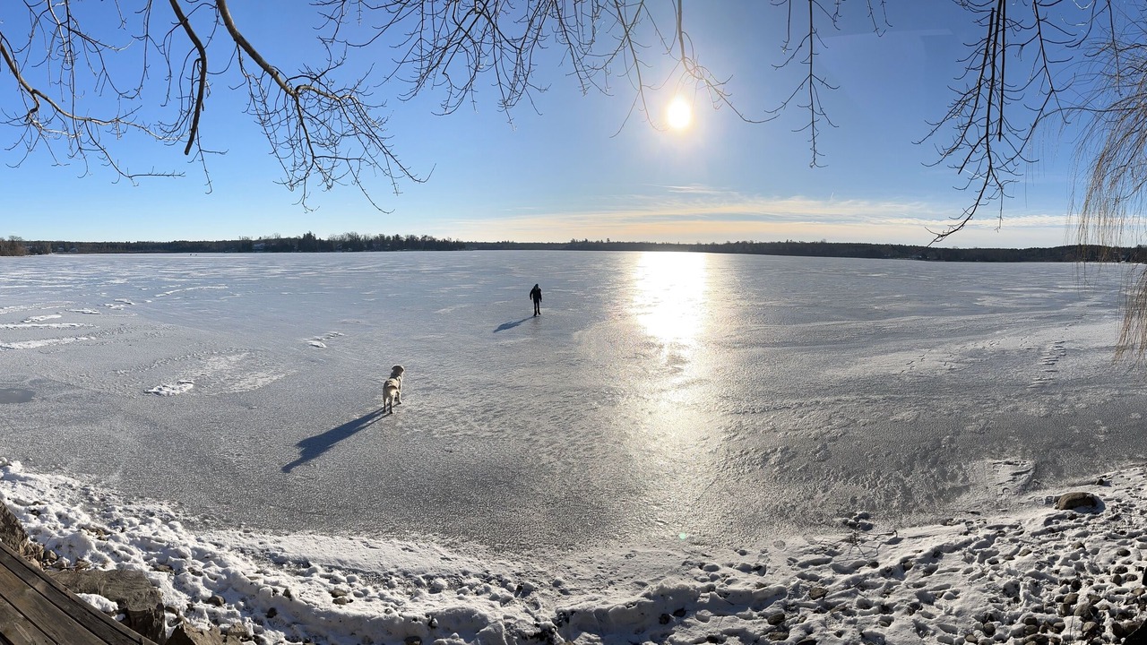 Photo of Others in Puslinch