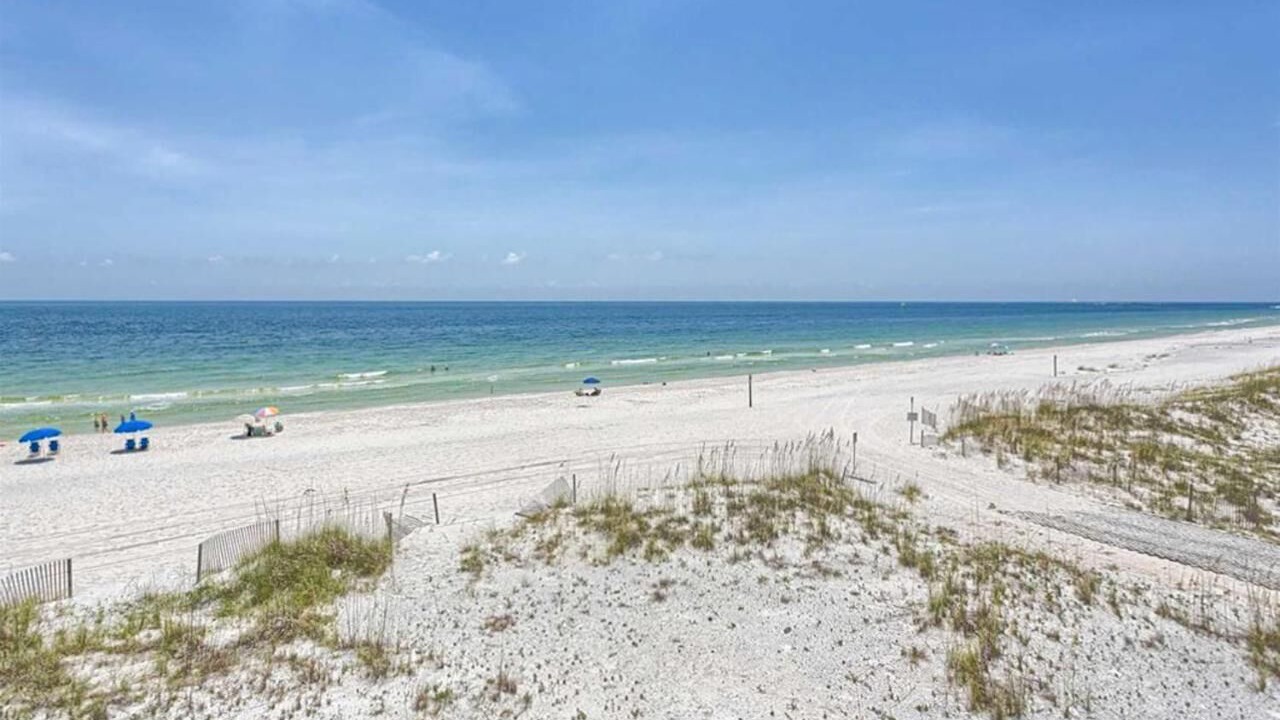 Photo of Others in Orange Beach East