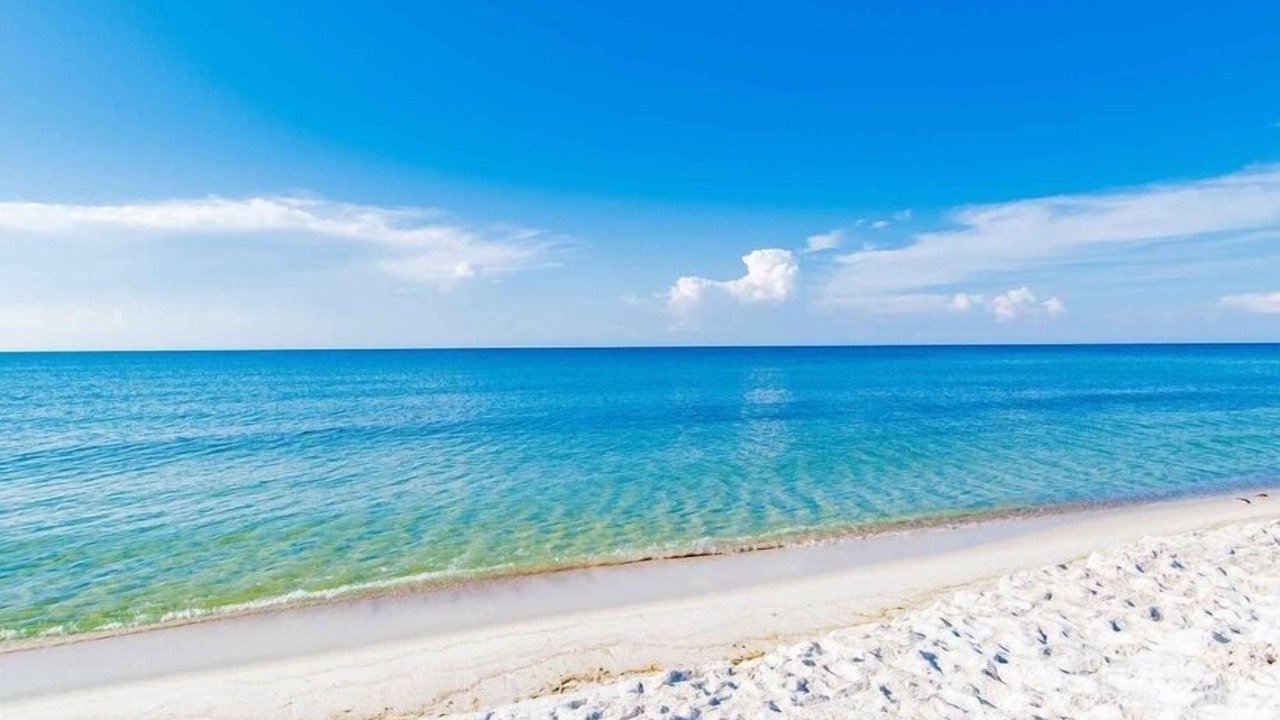 Photo of Others in Orange Beach East