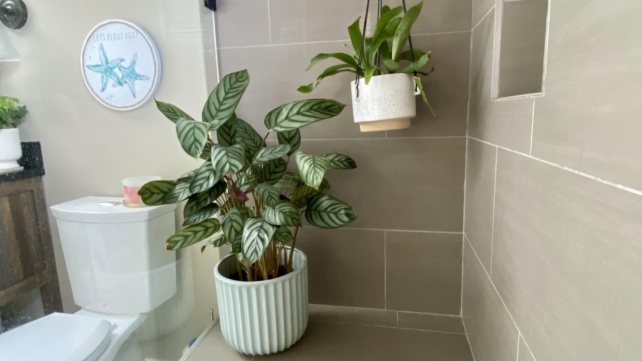 Photo of Bathroom in El Granada