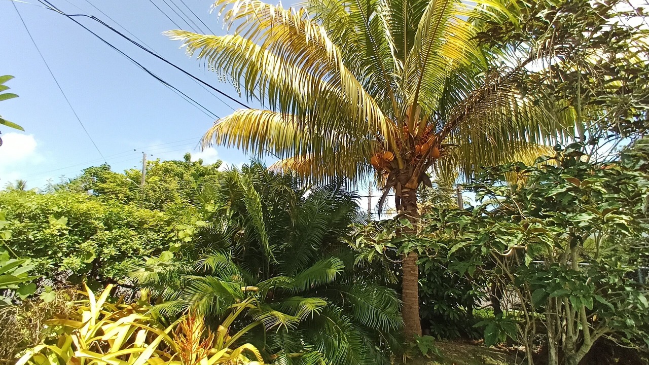 Photo of Others in Nassau