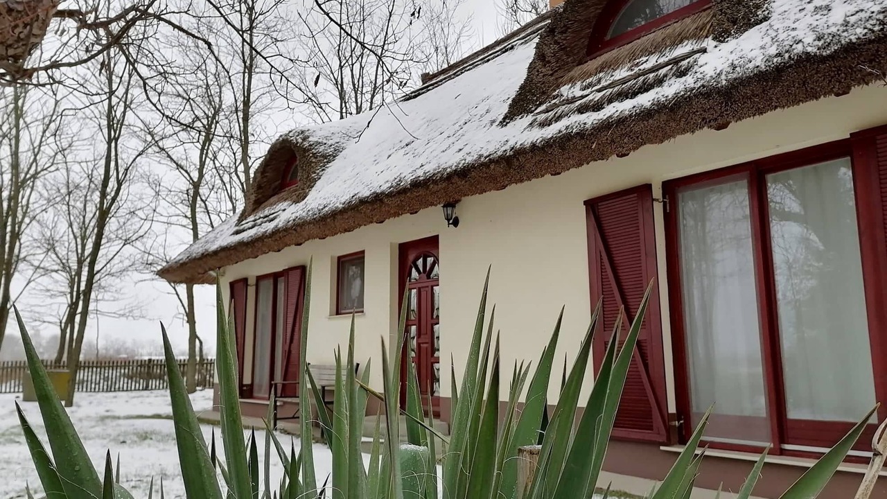 Photo of Outdoor in Orgovany