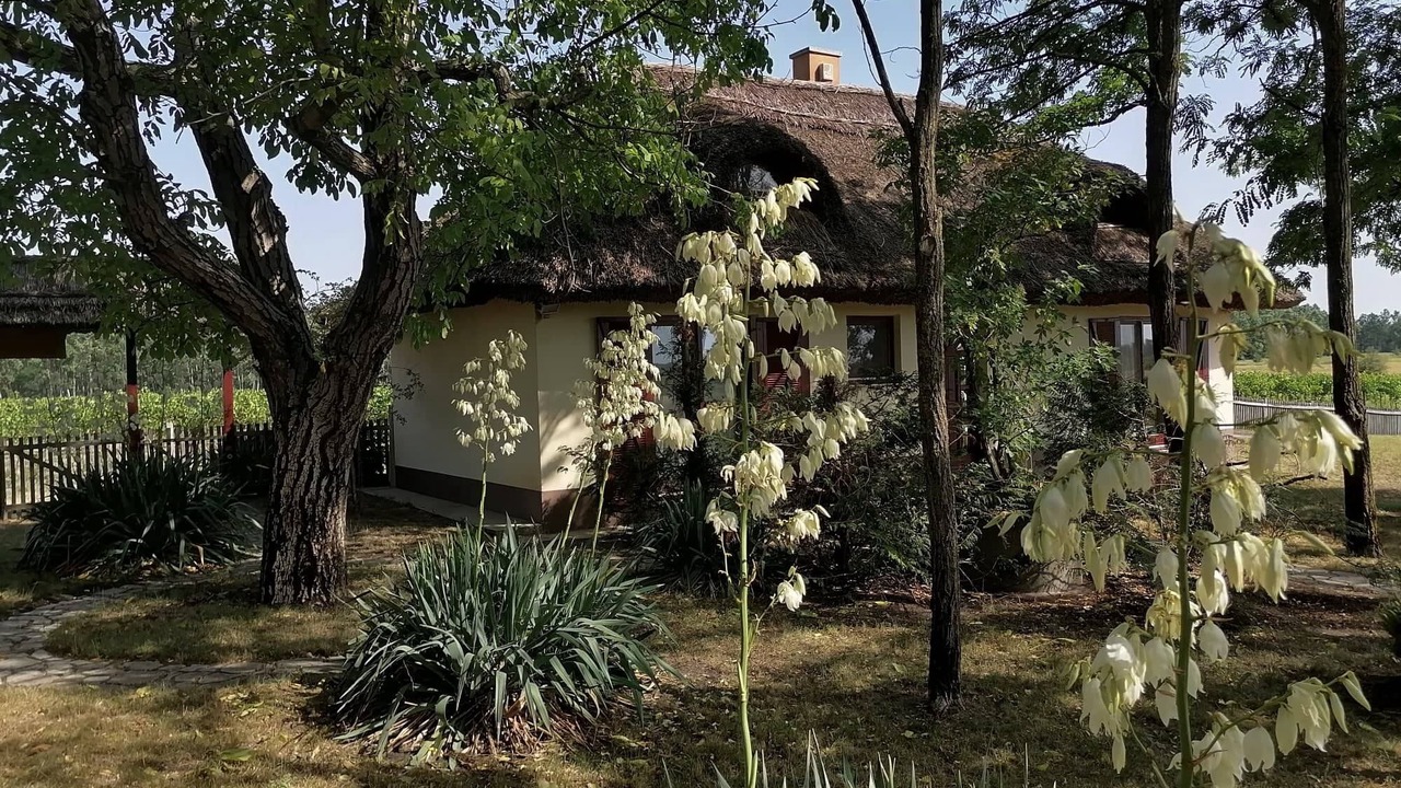 Photo of Outdoor in Orgovany